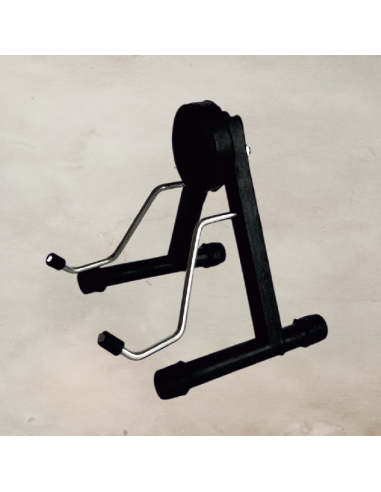 Sběratelská kytara Gibson Les Paul Petra Jandy...