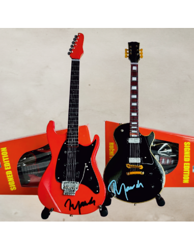 Sběratelská kytara Gibson Les Paul Petra Jandy...