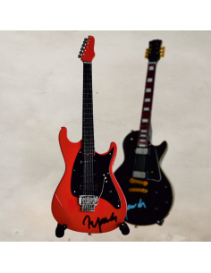 Sběratelská kytara Ibanez Roadstar Petra Jandy s... 2