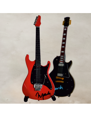 Sběratelská kytara Ibanez Roadstar Petra Jandy...