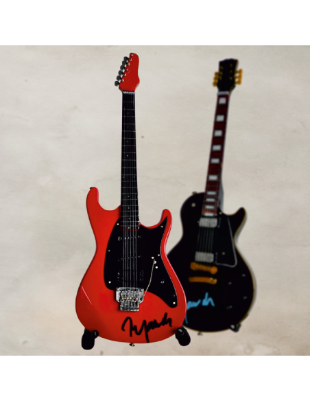 Sběratelská kytara Ibanez Roadstar Petra Jandy s originálním podpisem