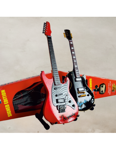 Sběratelská kytara Ibanez Roadstar Petra Jandy...